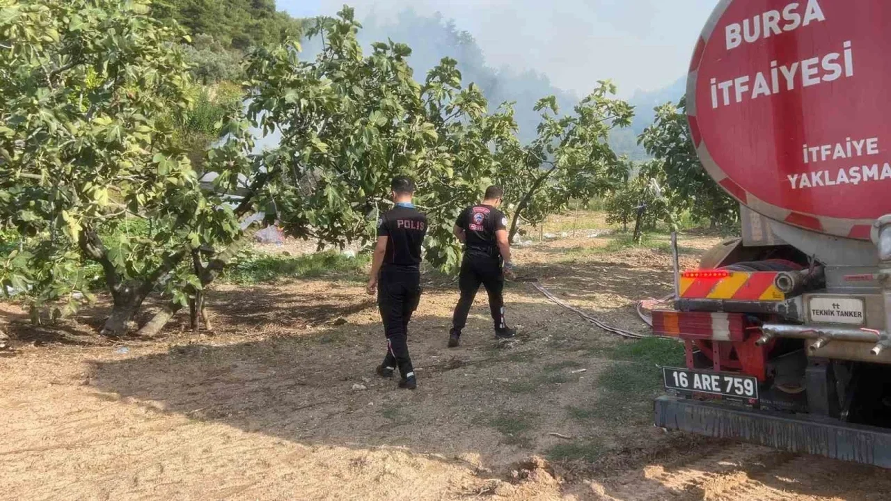 Mudanya orman yangını Yunus ekiplerinin dikkatiyle büyümeden söndü