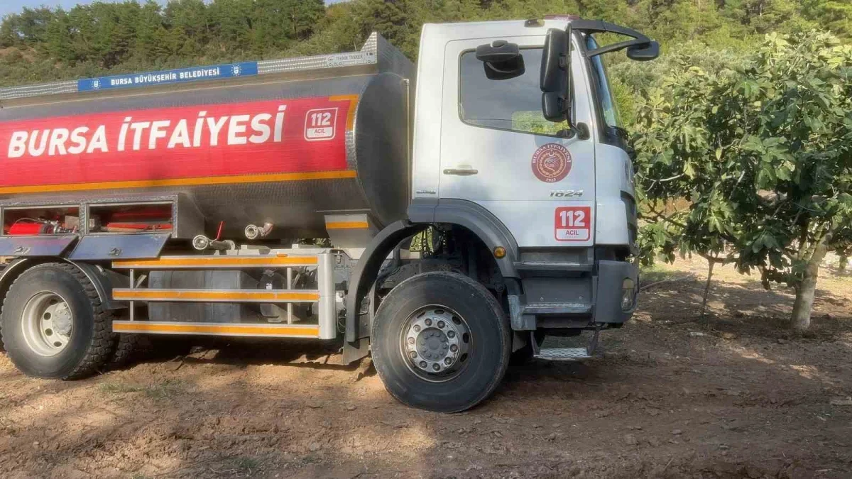 Mudanya orman yangını Yunus ekiplerinin dikkatiyle büyümeden söndü