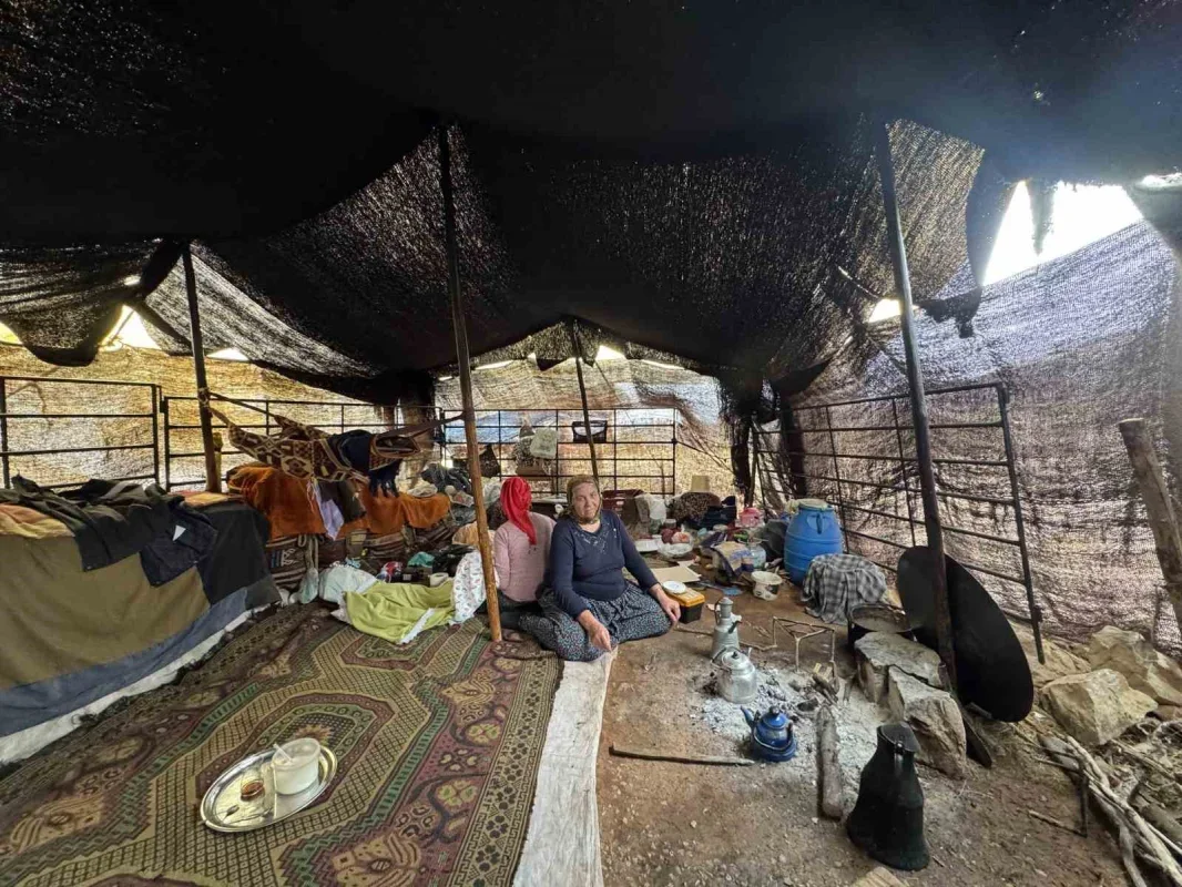 Sarıkeçili Yörüğü Ali Uçar, devecilik geleneğini yaşatıyor