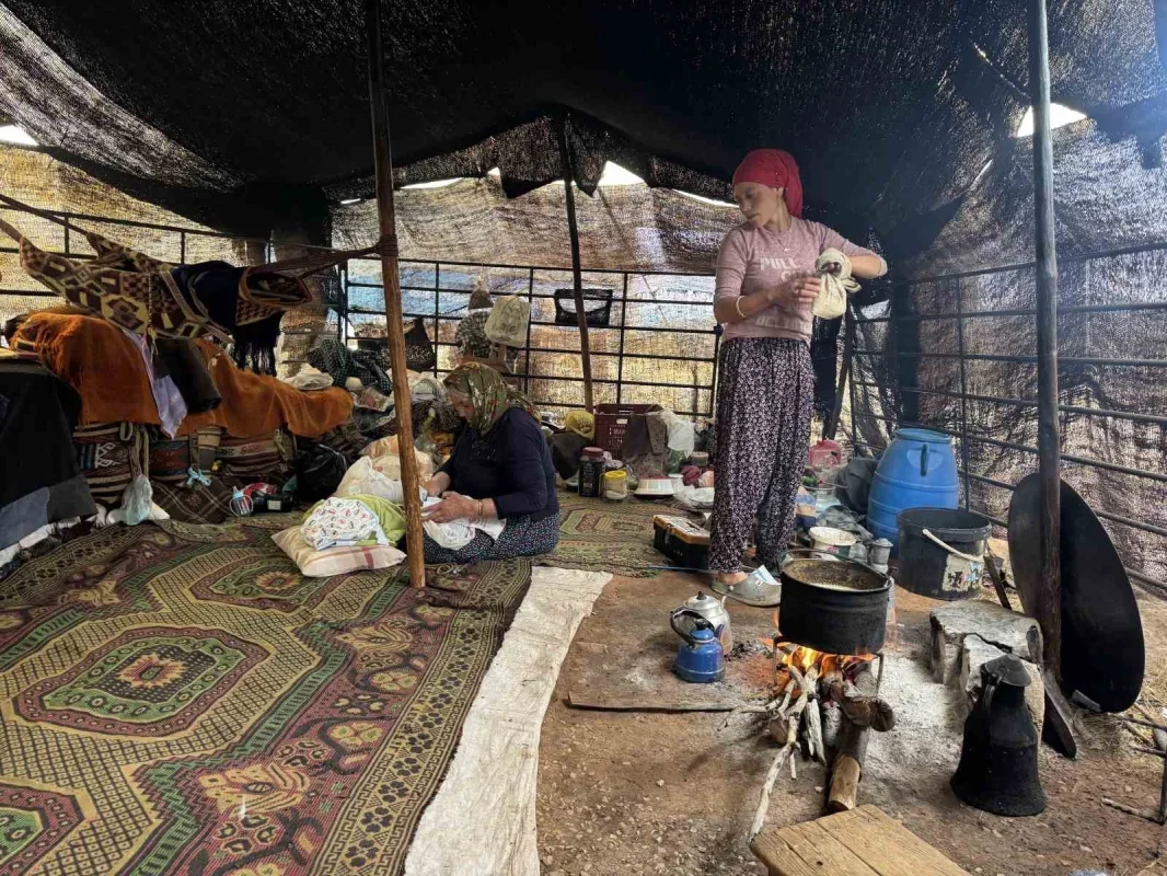 Sarıkeçili Yörüğü Ali Uçar, devecilik geleneğini yaşatıyor
