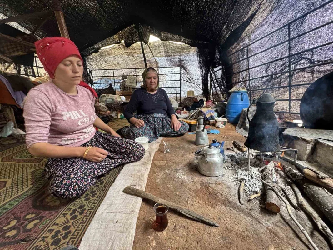 Sarıkeçili Yörüğü Ali Uçar, devecilik geleneğini yaşatıyor