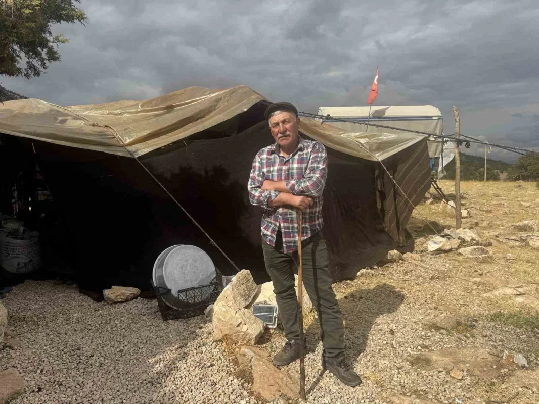 Sarıkeçili Yörüğü Ali Uçar, devecilik geleneğini yaşatıyor