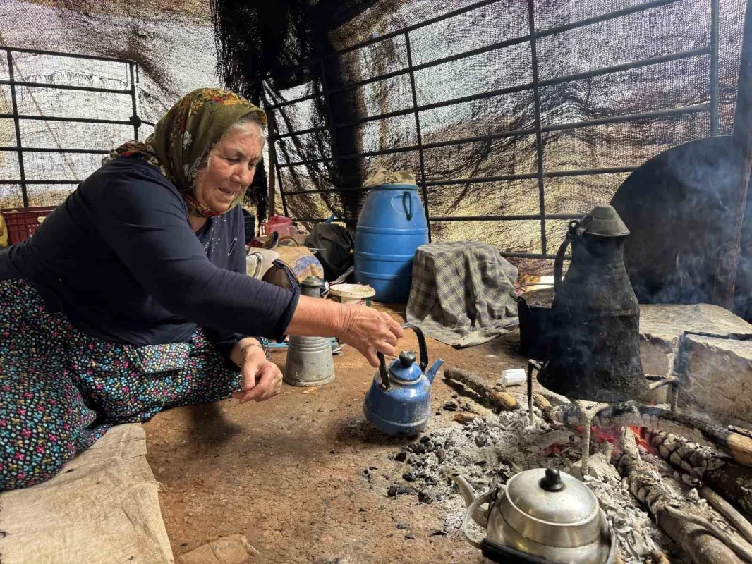 Sarıkeçili Yörüğü Ali Uçar, devecilik geleneğini yaşatıyor