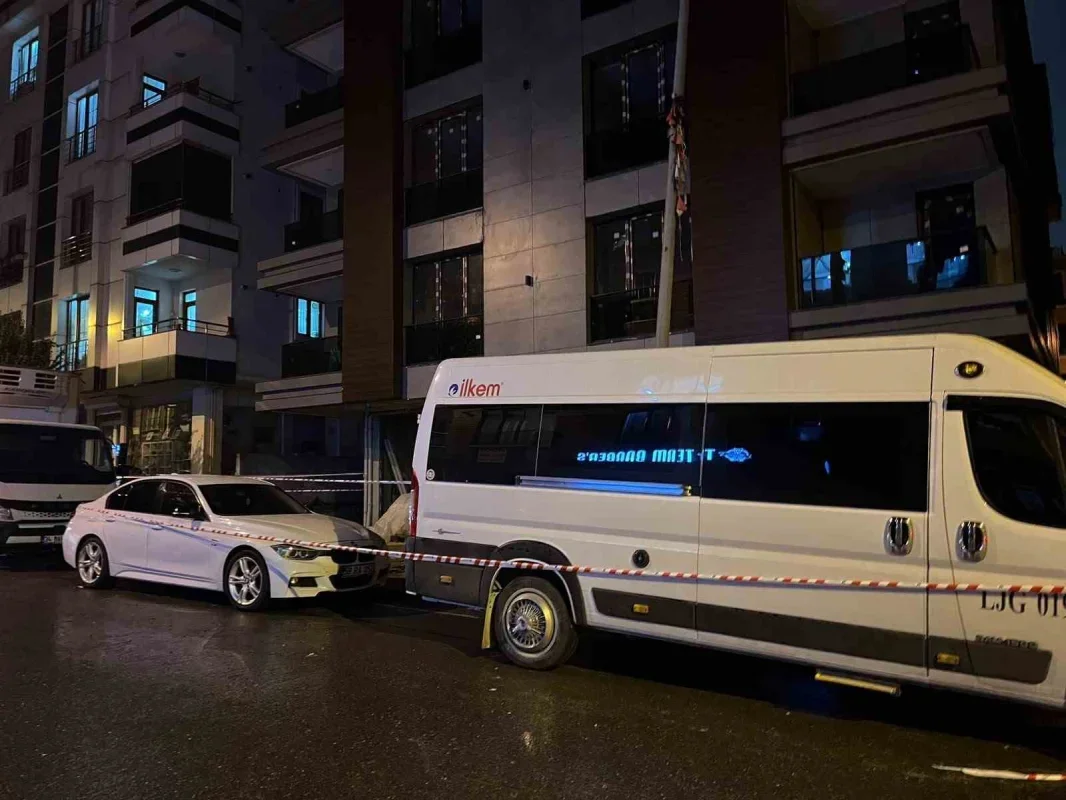 Küçükçekmece'de köpek elektrik akımına kapılarak telef oldu