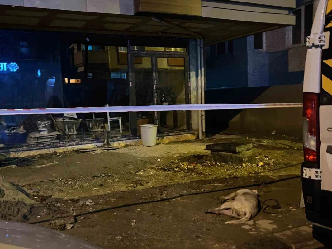 Küçükçekmece'de köpek elektrik akımına kapılarak telef oldu