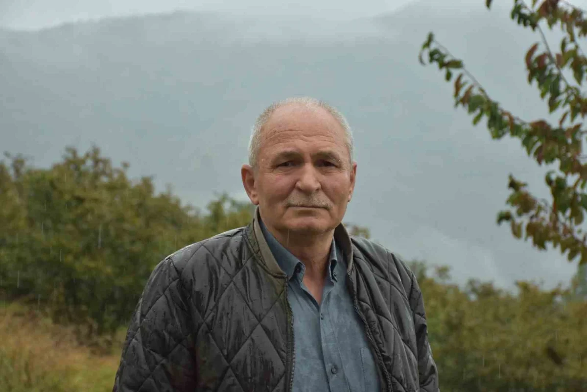 Sakarya fındık hasadında kalite yüksek, delikli oranı arttı