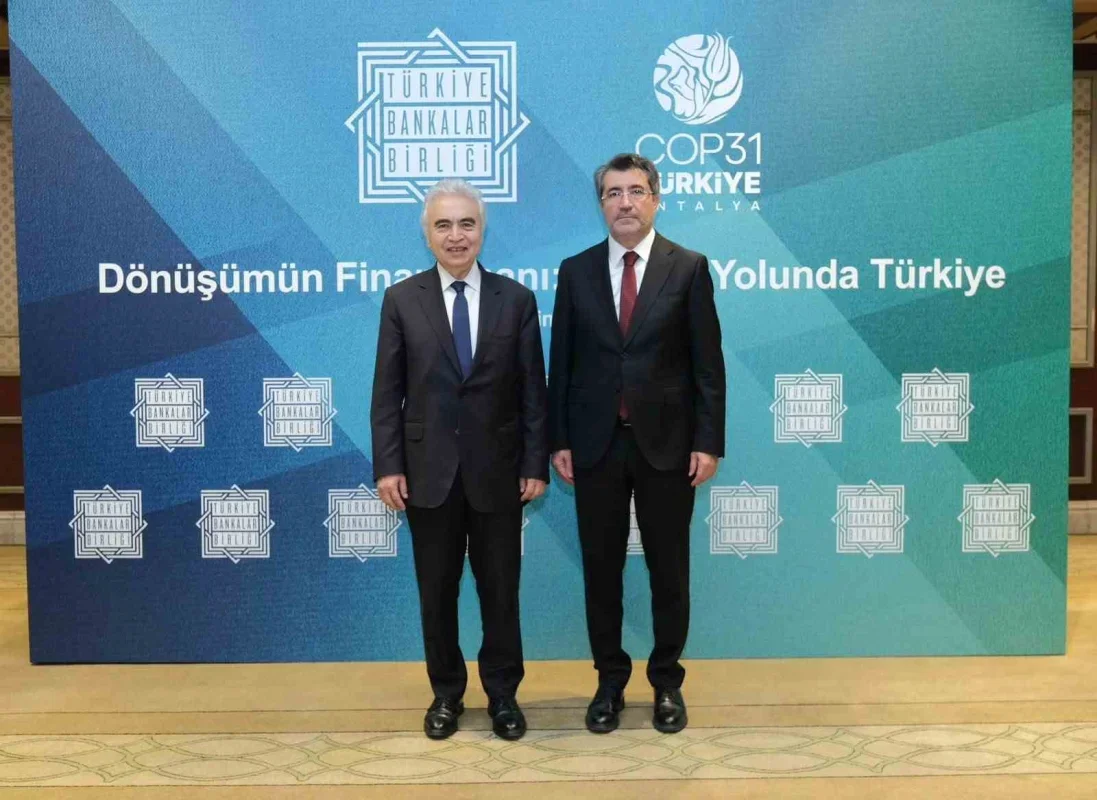 Enerji kredileri 1 trilyon TL'yi aştı: Yenilenebilir payı %53
