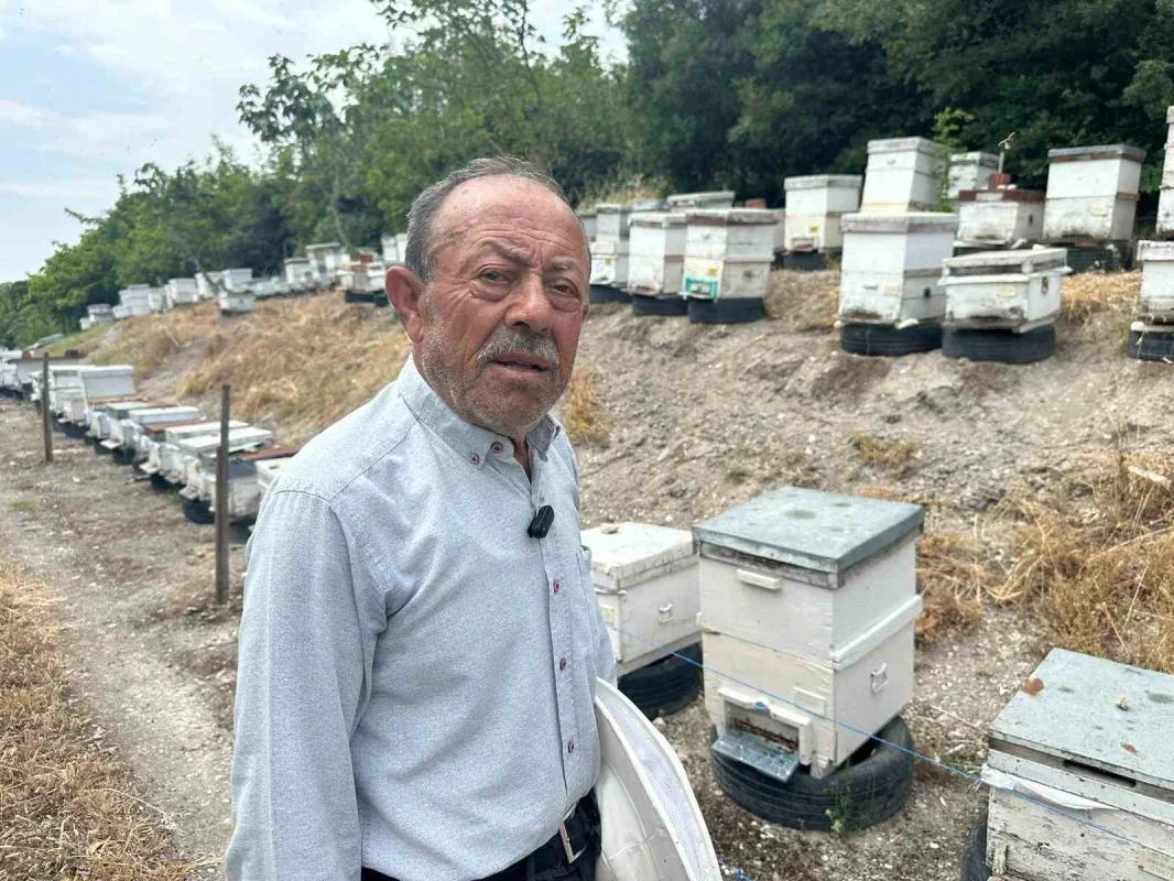 Hayrettin Kurtçu Bursa'dan Avrupa'ya 20 yıldır bal gönderiyor