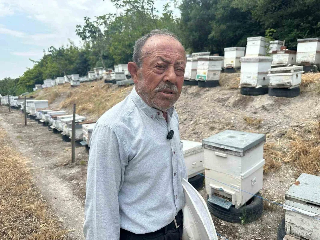 Hayrettin Kurtçu Bursa'dan Avrupa'ya 20 yıldır bal gönderiyor