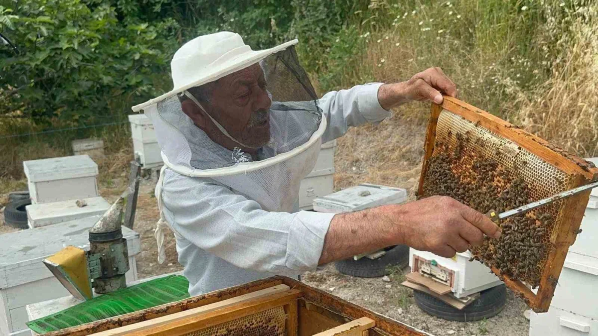 Hayrettin Kurtçu Bursa'dan Avrupa'ya 20 yıldır bal gönderiyor