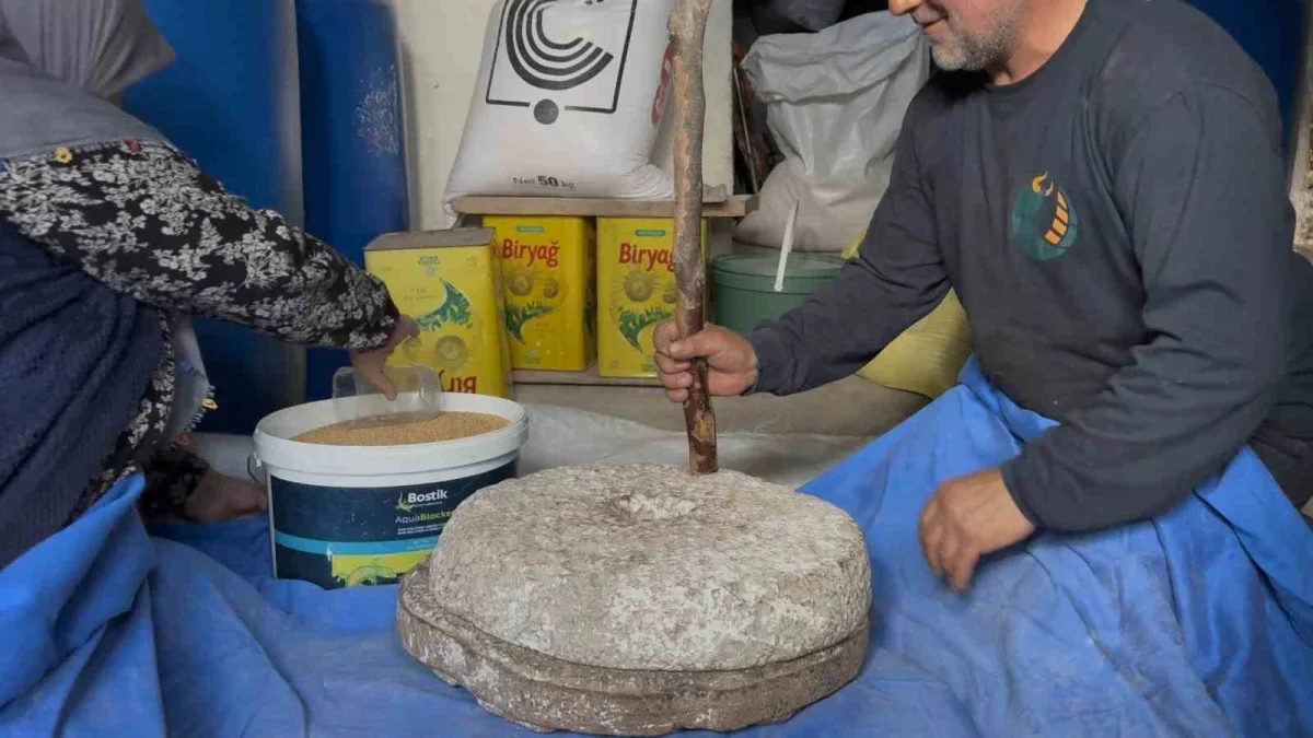 Sakarya'da 90 yıllık taş değirmende darı geleneği sürüyor