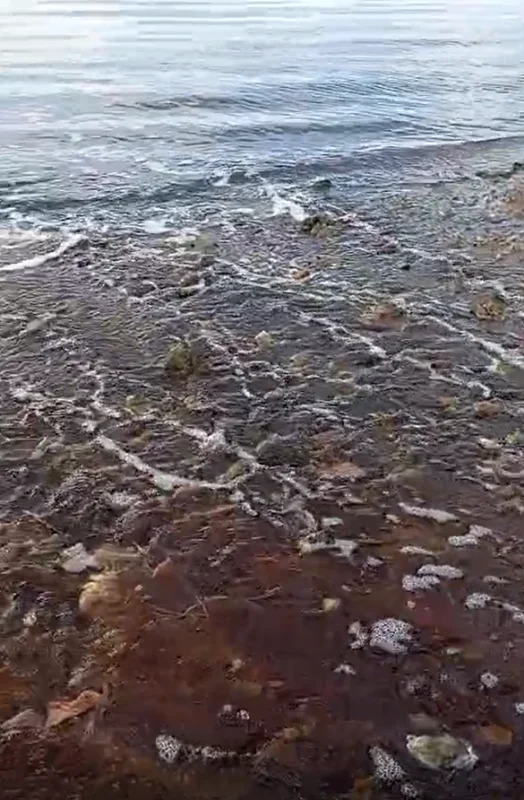 Yalova'da kırmızı renkli su Marmara Denizi'ne döküldü