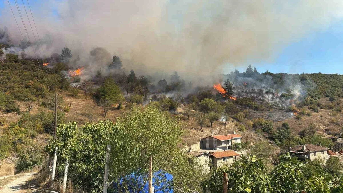 Büyükorhan orman yangınına havadan ve karadan müdahale sürüyor