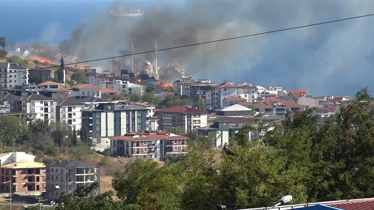 Tekirdağ'da yangından kurtarılan kaplumbağaya vatandaş sahip çıktı