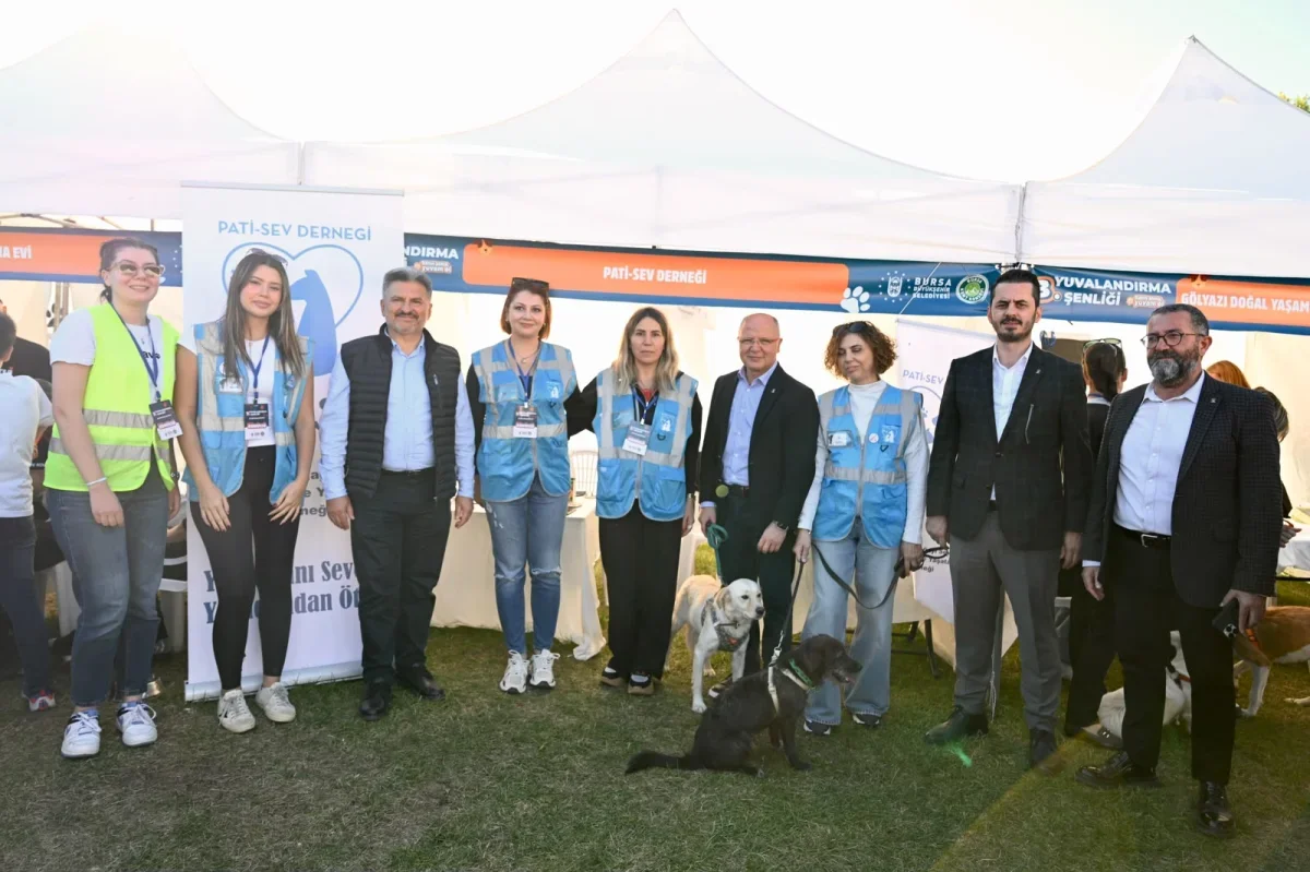 Bursa'da Yuvalandırma Şenliği'nde 92 kedi ve köpek sahiplendirildi