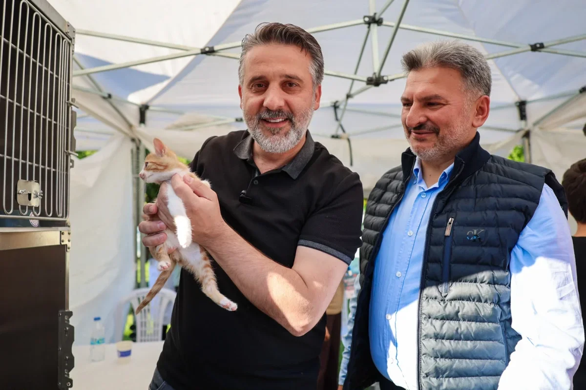 Bursa'da Yuvalandırma Şenliği'nde 92 kedi ve köpek sahiplendirildi