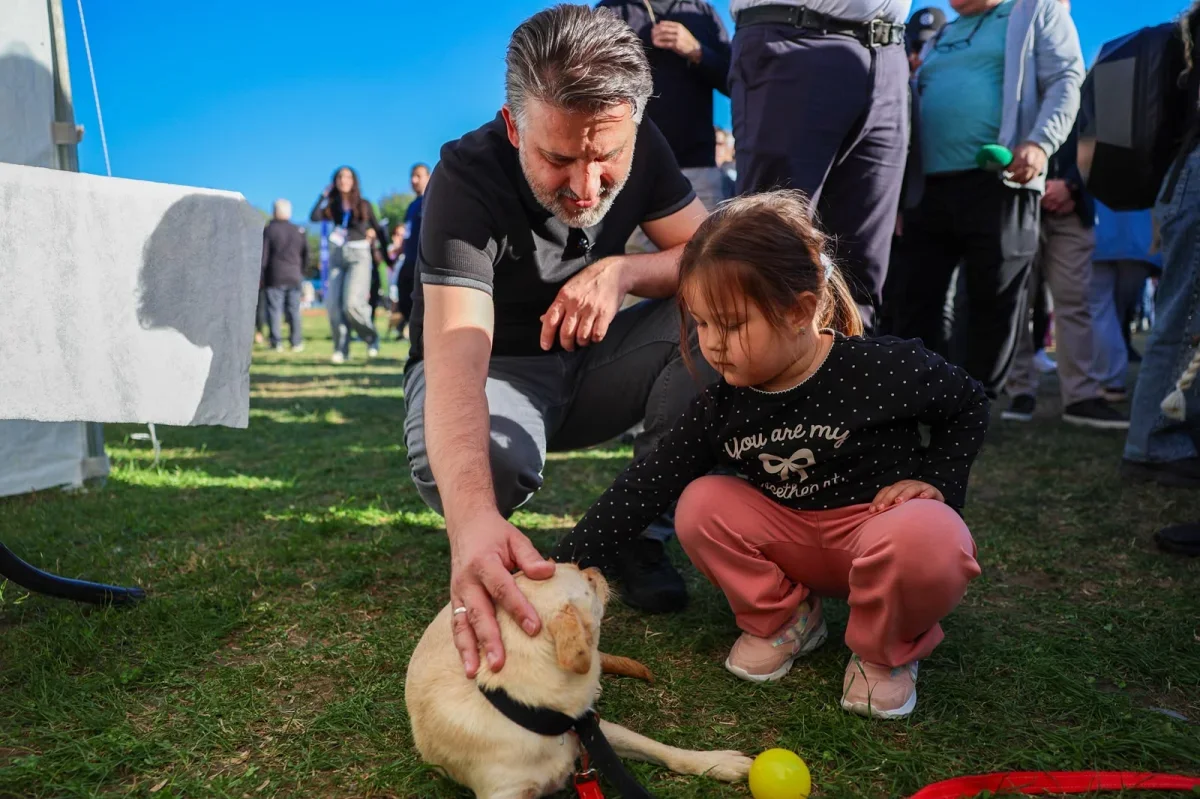 Bursa'da Yuvalandırma Şenliği'nde 92 kedi ve köpek sahiplendirildi