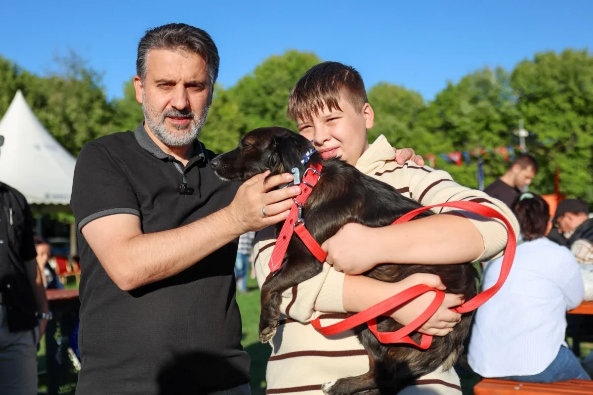 Bursa'da Yuvalandırma Şenliği'nde 92 kedi ve köpek sahiplendirildi
