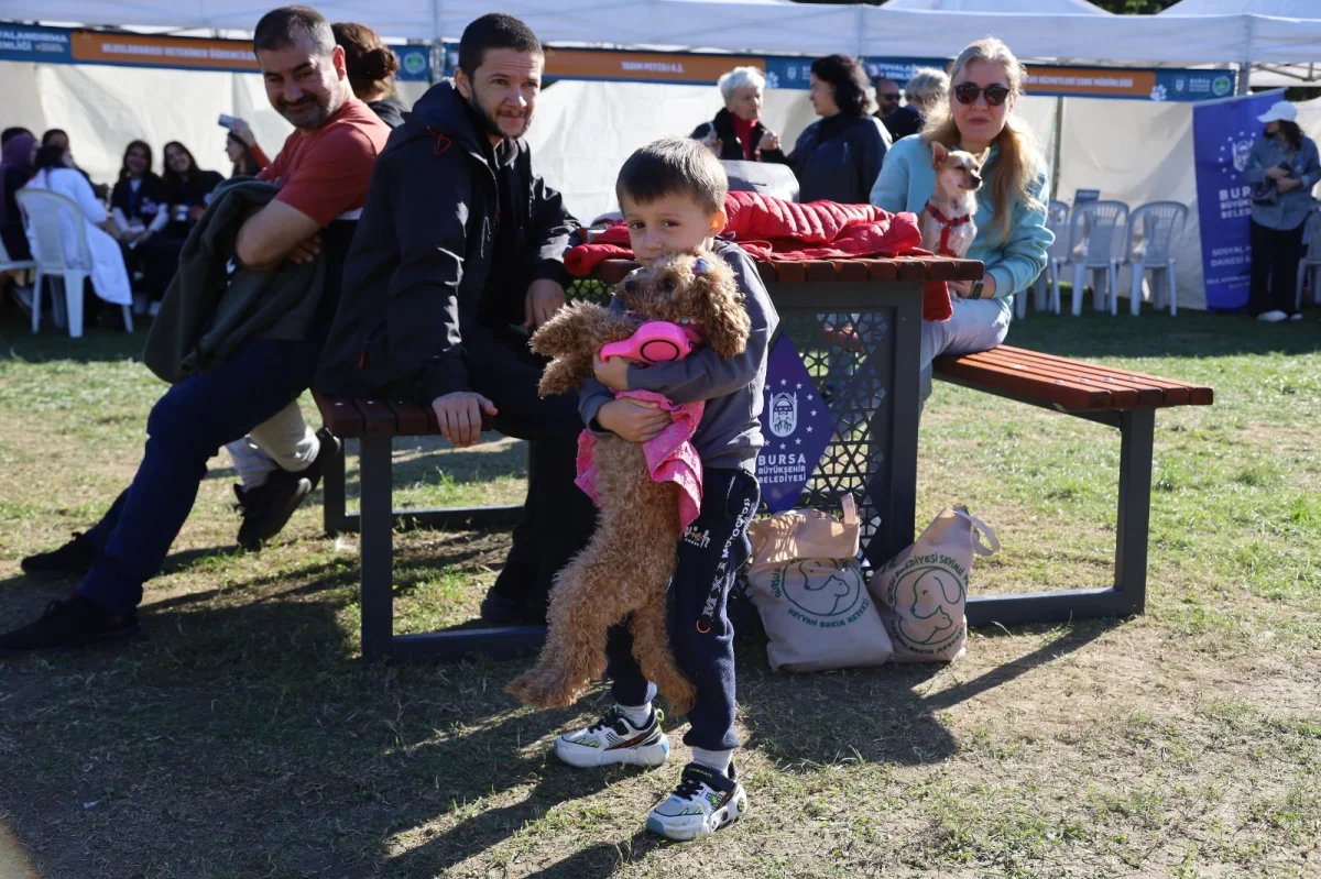 Bursa'da Yuvalandırma Şenliği'nde 92 kedi ve köpek sahiplendirildi