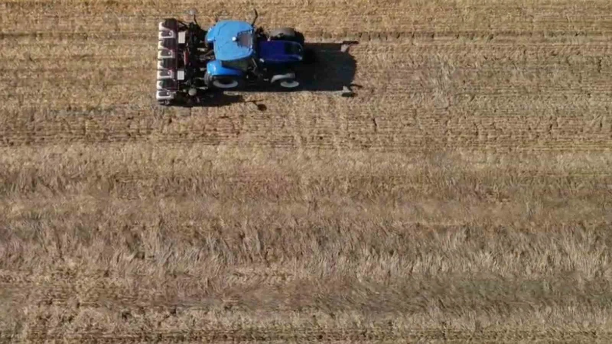 Hayrabolu'da anıza kanola ekimi: 170 dönümlük deneme