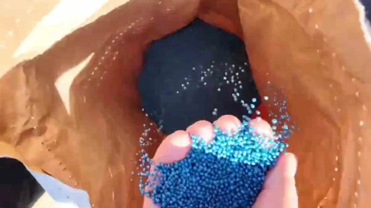 Hayrabolu'da anıza kanola ekimi: 170 dönümlük deneme