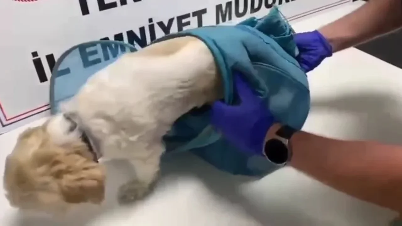 Tekirdağ'da uyuşturucu operasyonlarında 18 tutuklama