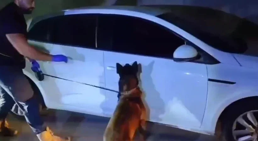 Tekirdağ'da uyuşturucu operasyonlarında 18 tutuklama