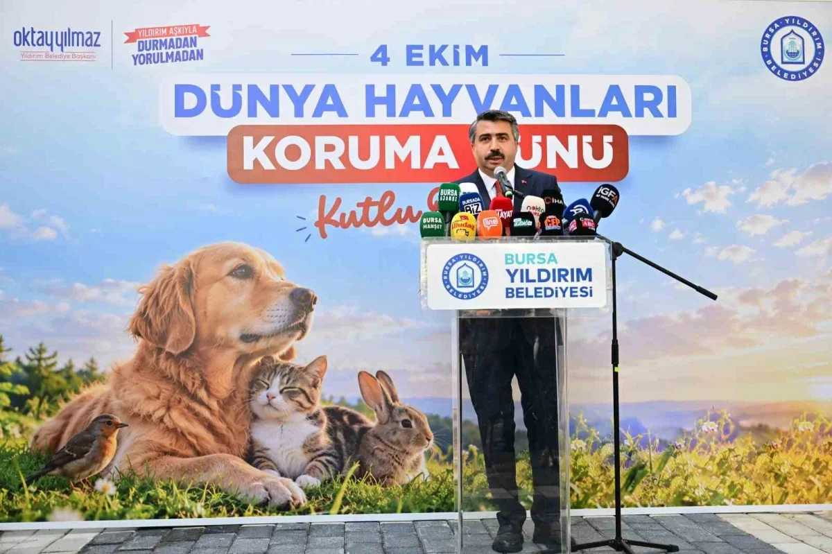 Yıldırım'da sokak hayvanları için sevimli patiler şenliği
