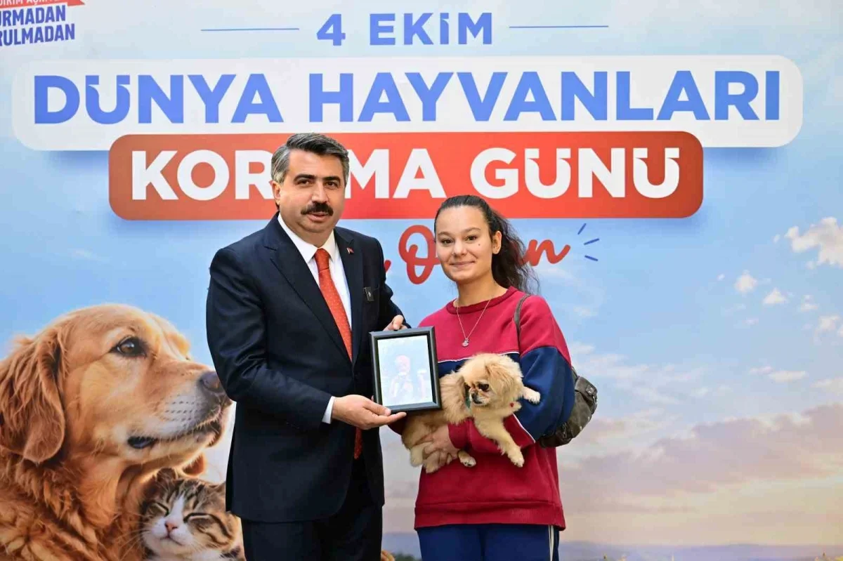 Yıldırım'da sokak hayvanları için sevimli patiler şenliği