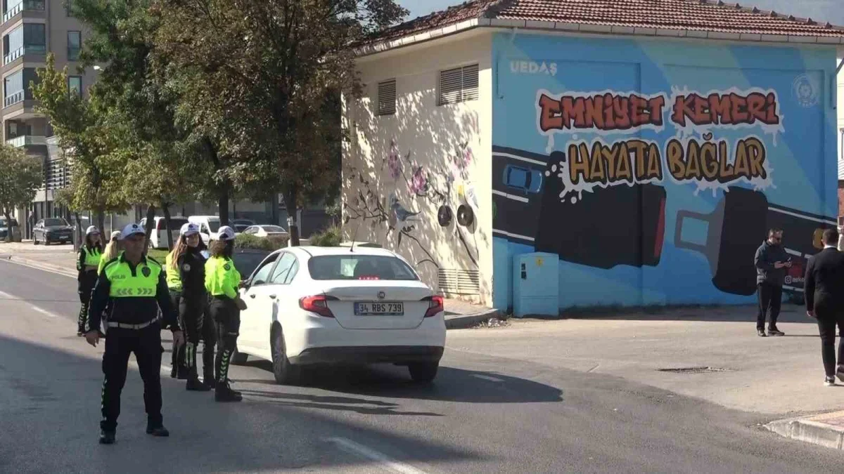 Bursa'da trafolar emniyet kemeri için renklendi