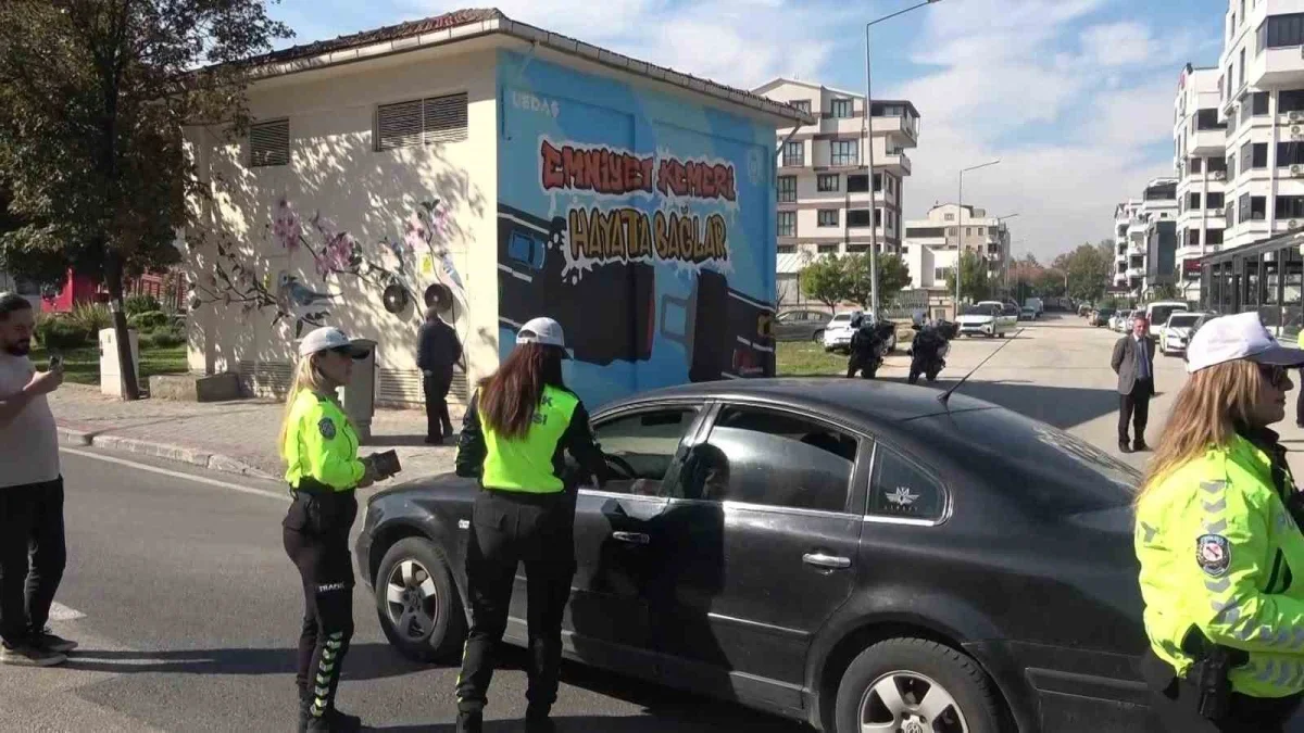 Bursa'da trafolar emniyet kemeri için renklendi