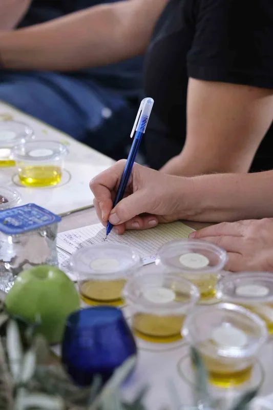 Festolive Edremit'te 13 bin kişiyle rekor hedefi