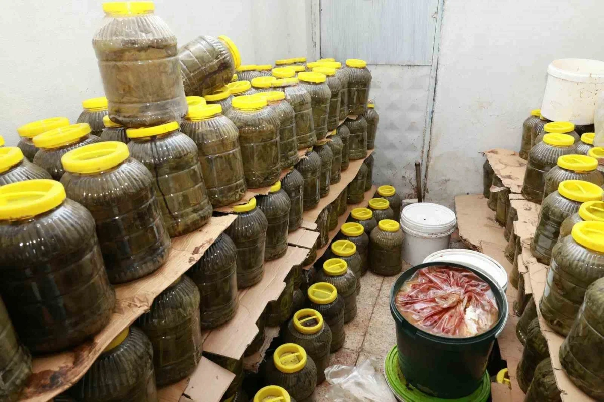 Osmangazi'de 6,5 ton küflü gıda imha edildi
