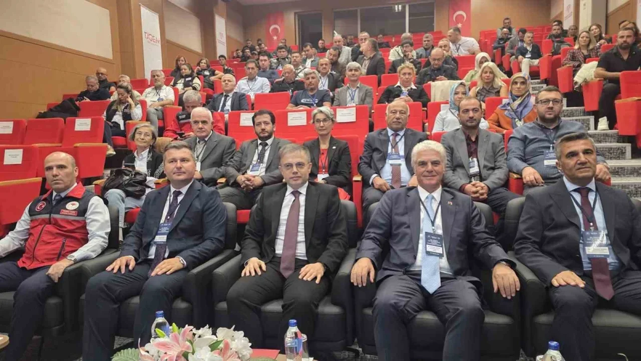 Türkiye kaz yetiştiriciliğinde dünyada 7'nci sırada