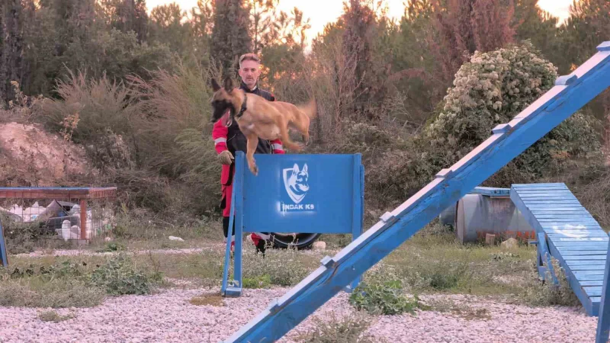 İnegöl'de K9 köpekleri enkazda afete hazırlanıyor