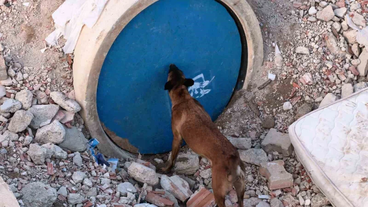 İnegöl'de K9 köpekleri enkazda afete hazırlanıyor