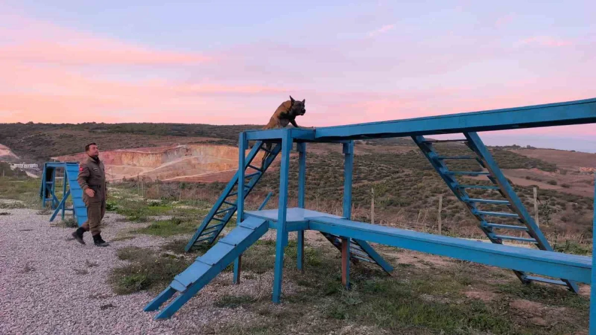 İnegöl'de K9 köpekleri enkazda afete hazırlanıyor