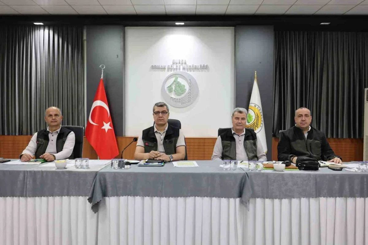 Bursa'da orman yangını riski için teyakkuz sürüyor