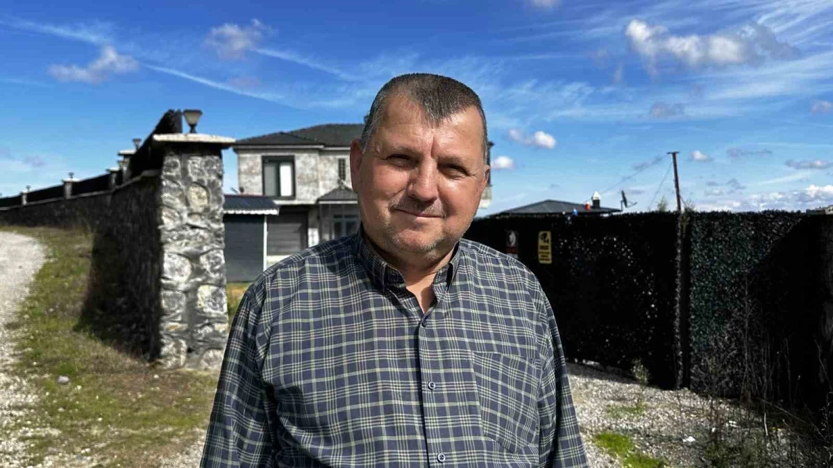 Ferizli'de kahverengi kokarca istilası büyüyor