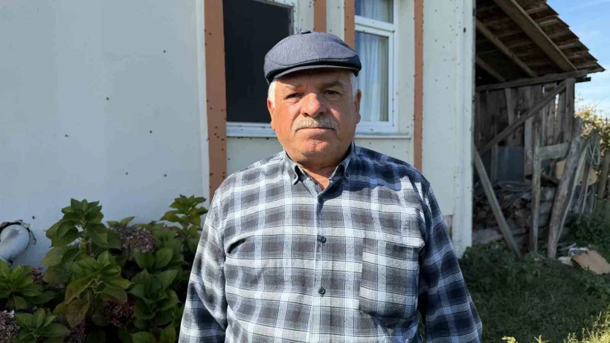 Ferizli'de kahverengi kokarca istilası büyüyor