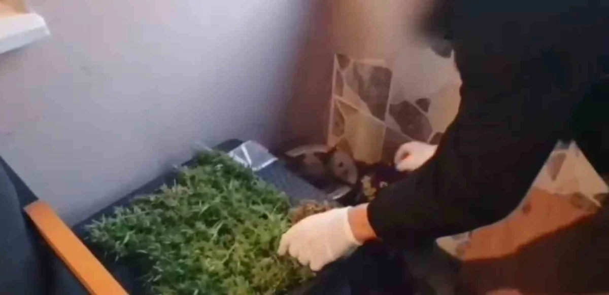 Sakarya'da Sokaklar Güvende operasyonunda 19 gözaltı