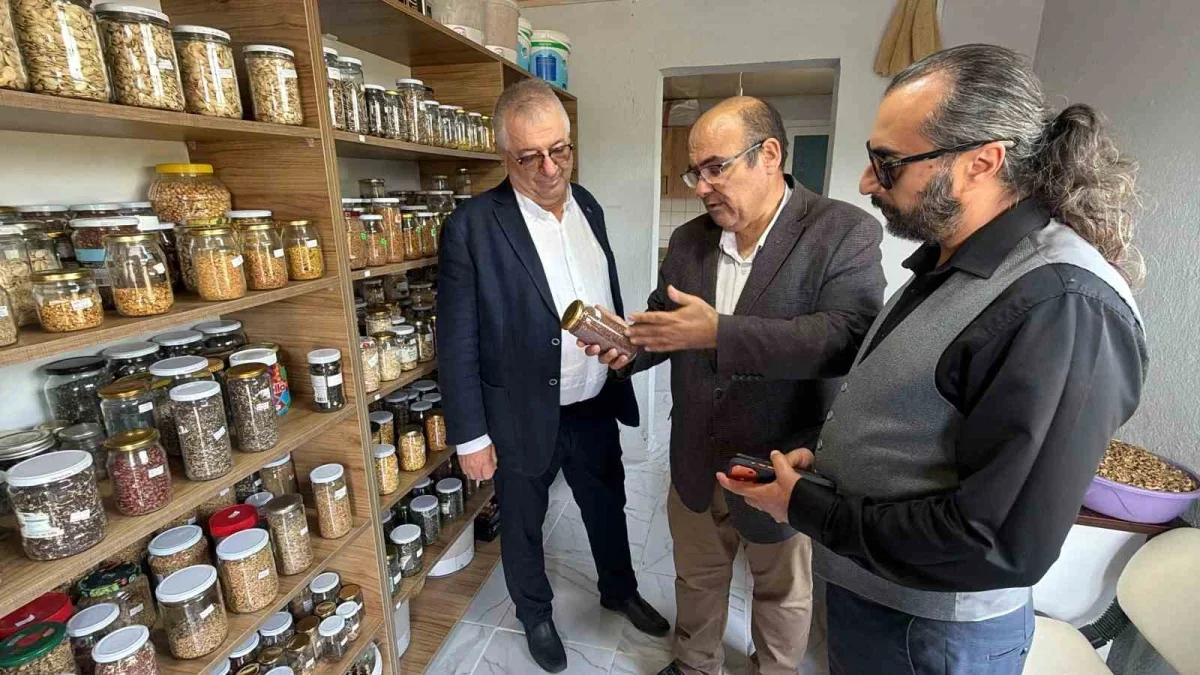 Edremit'te 137 çeşit ata tohumu geleceğe taşınıyor