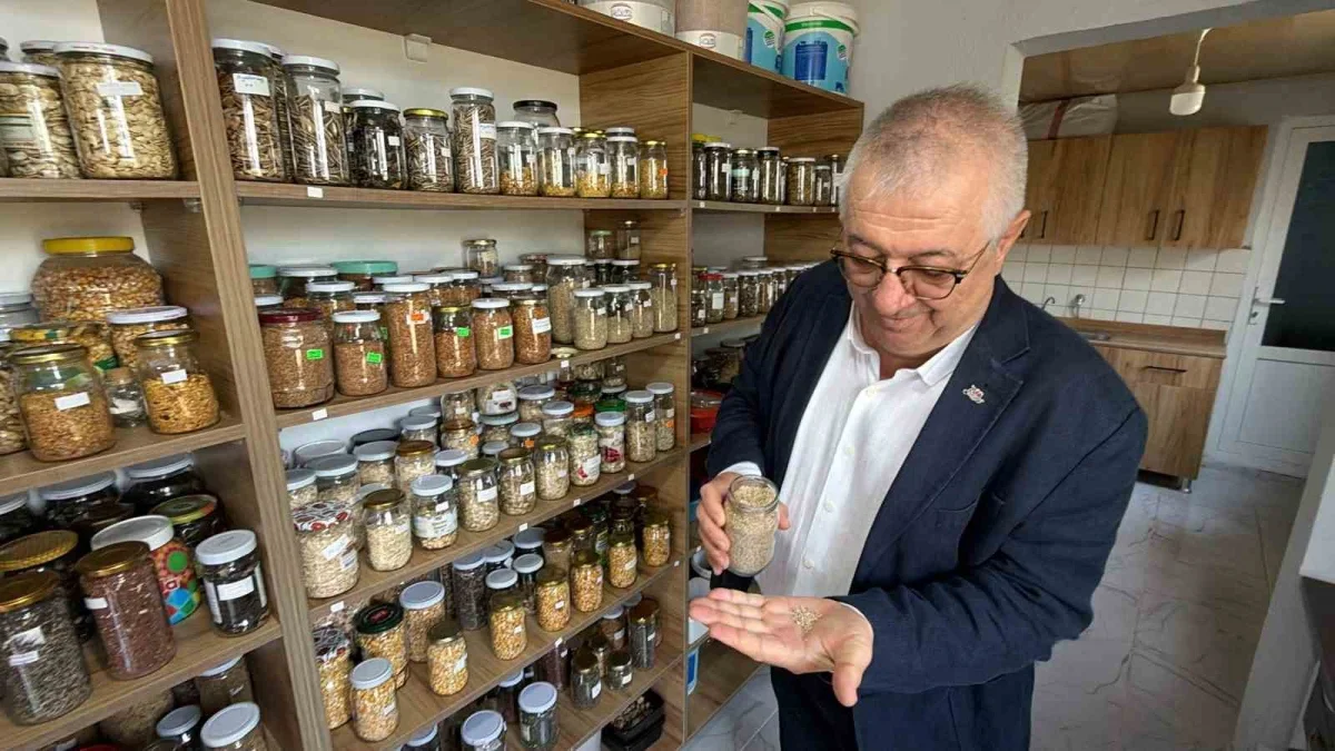 Edremit'te 137 çeşit ata tohumu geleceğe taşınıyor