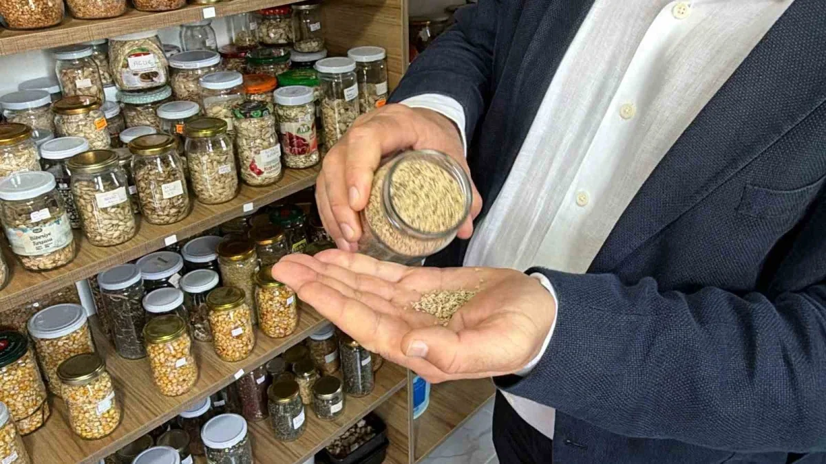 Edremit'te 137 çeşit ata tohumu geleceğe taşınıyor