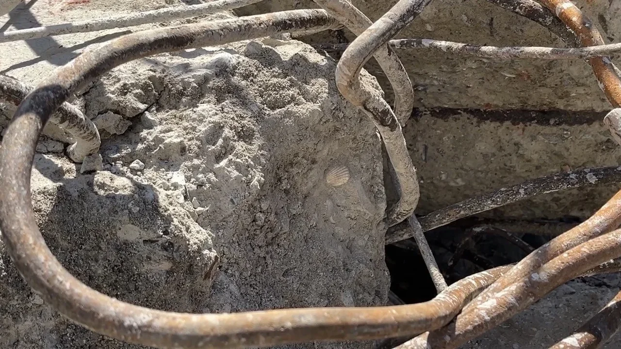 Maltepe'de çöken binanın betonunda deniz kabuğu