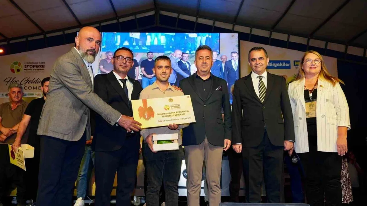 Alanya'da 679 gramlık avokado yarışmayı kazandı