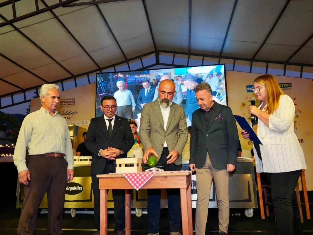 Alanya'da 679 gramlık avokado yarışmayı kazandı