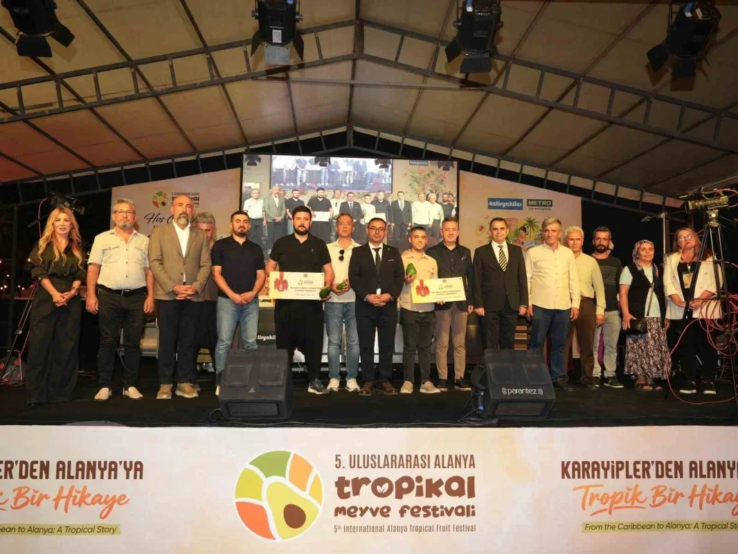 Alanya'da 679 gramlık avokado yarışmayı kazandı