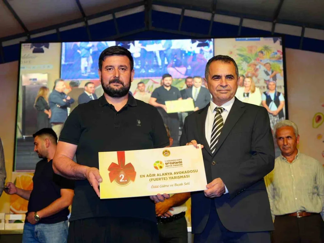 Alanya'da 679 gramlık avokado yarışmayı kazandı