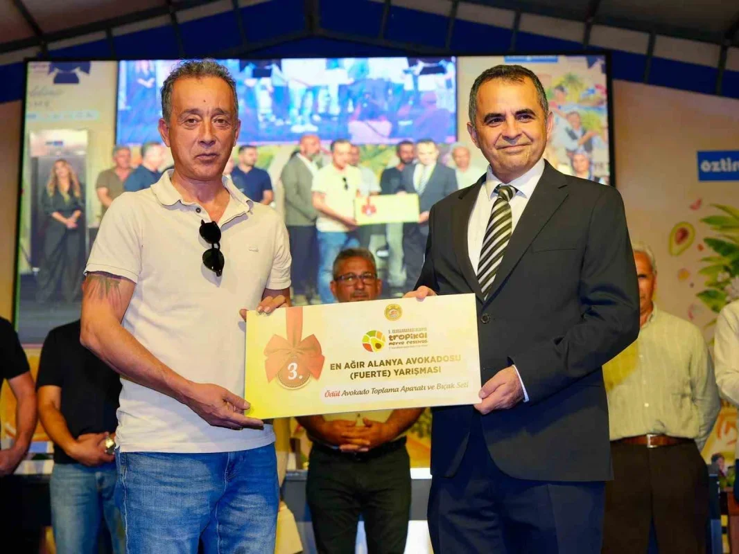 Alanya'da 679 gramlık avokado yarışmayı kazandı